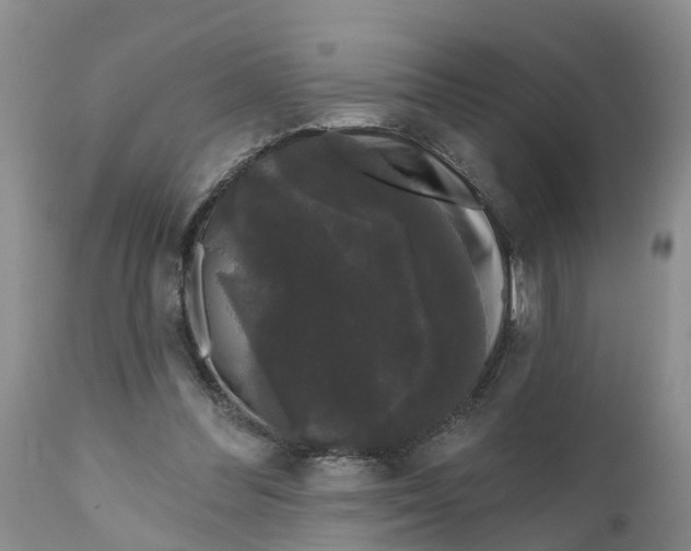 X0000111050300200907091640