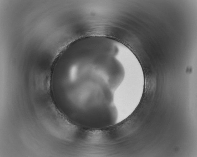 X0000111050301200907091640