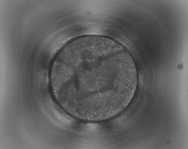 X0000111050302200907091640