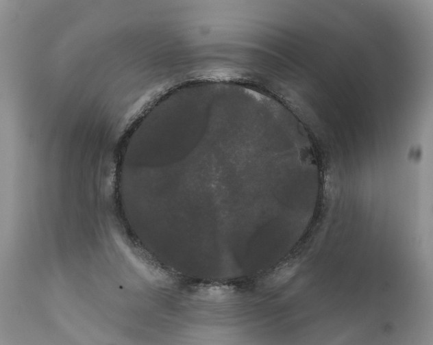 X0000111050304200907091640