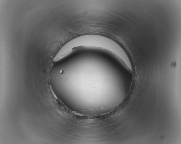 X0000111050307200907091640