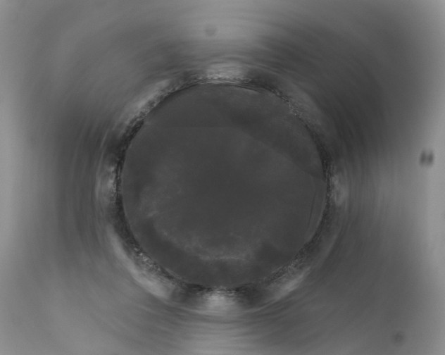 X0000111050308200907091640