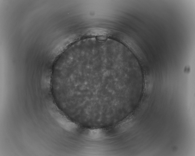 X0000111050309200907091640