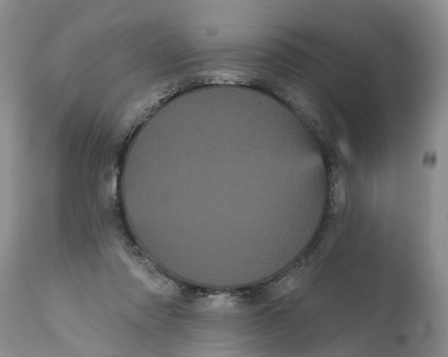 X0000111050310200907091640