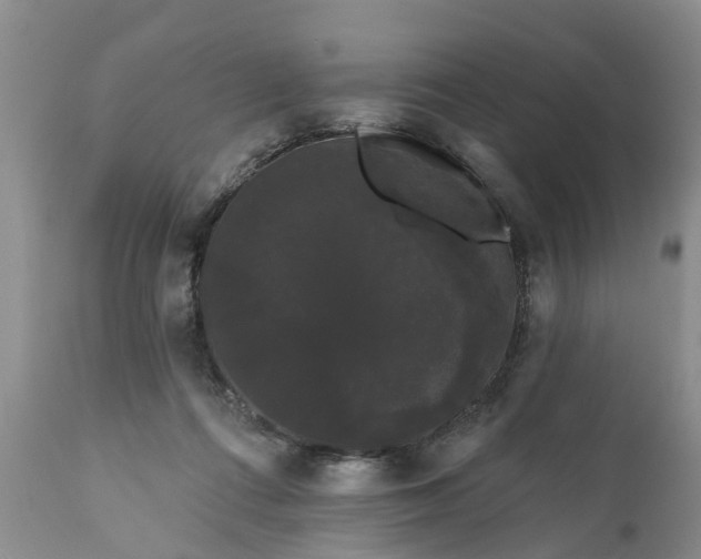 X0000111050312200907091640