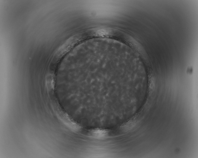 X0000111050313200907091640