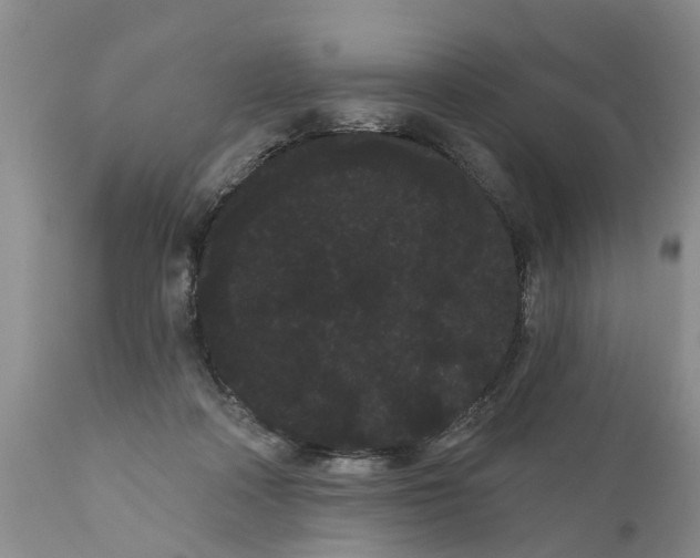 X0000111050314200907091640