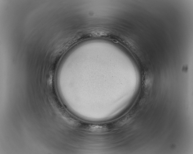 X0000111050315200907091640