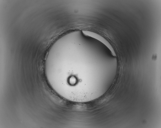 X0000111050317200907091640