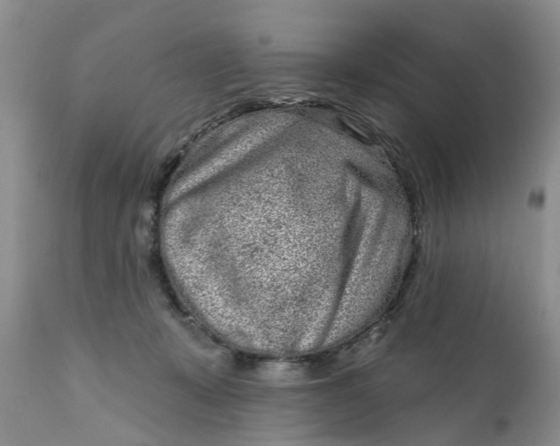 X0000111050319200907091640