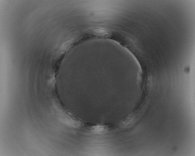 X0000111050320200907091640