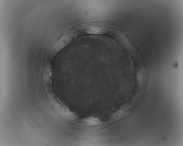 X0000111050322200907091640