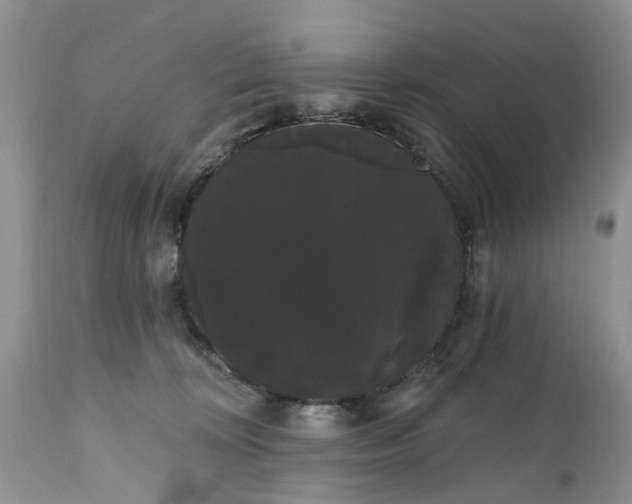 X0000111050324200907091640