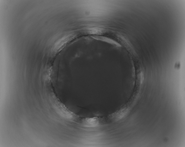 X0000111050325200907091640