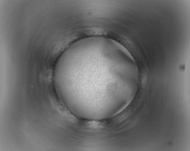 X0000111050326200907091639