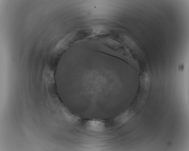 X0000111050327200907091639