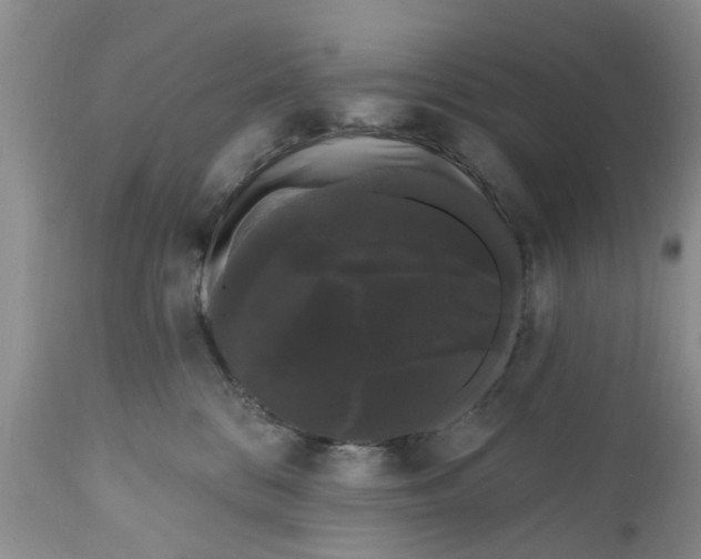 X0000111050328200907091639