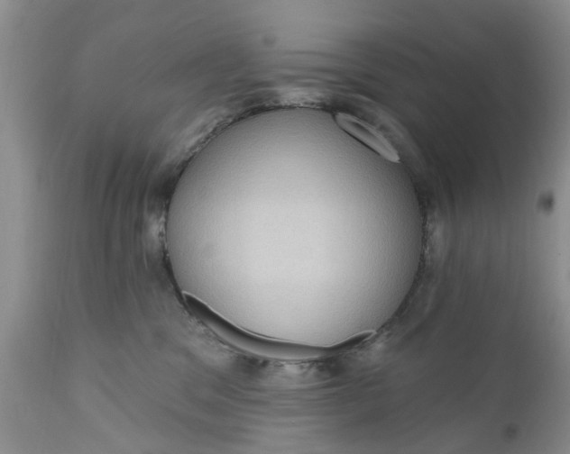 X0000111050329200907091639