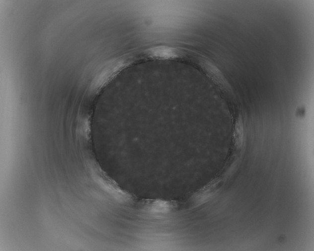 X0000111050330200907091639