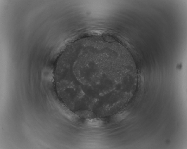 X0000111050331200907091639