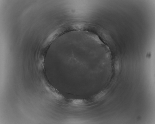 X0000111050332200907091639