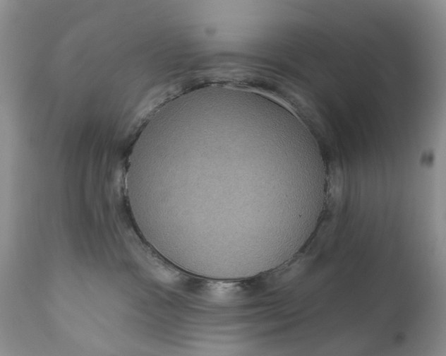 X0000111050333200907091639