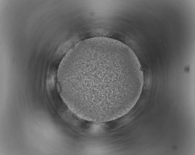 X0000111050334200907091639