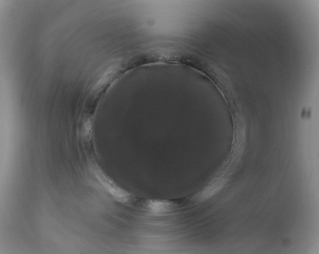 X0000111050336200907091639