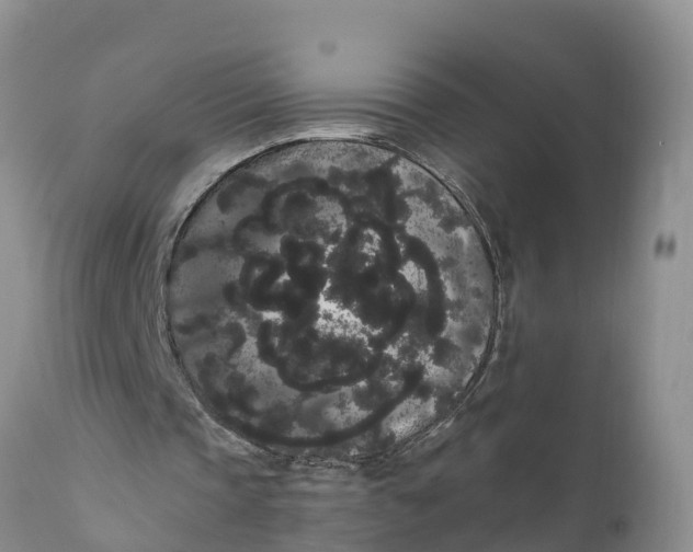 X0000111050337200907091639