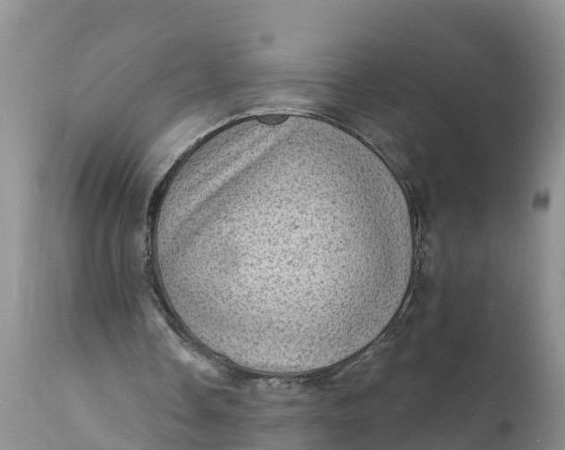 X0000111050338200907091639