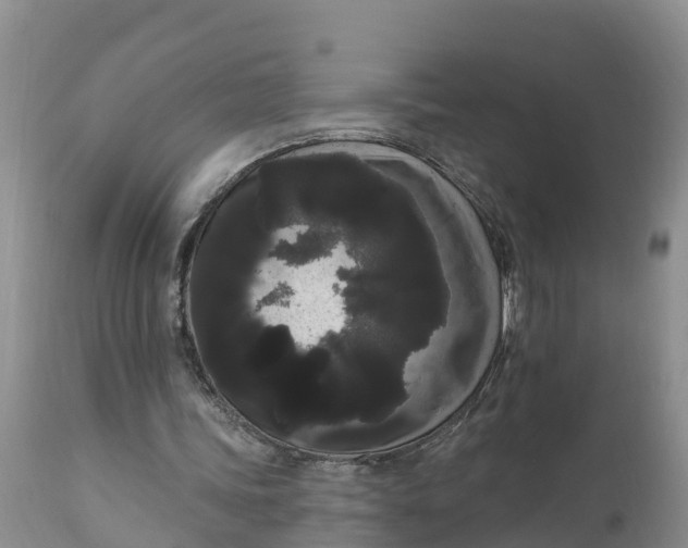 X0000111050339200907091639