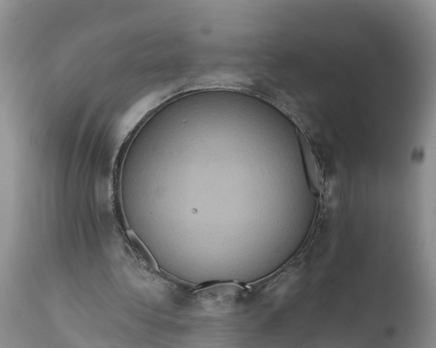 X0000111050340200907091639