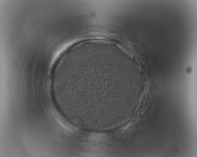 X0000111050342200907091639