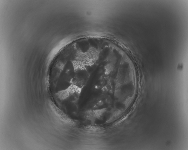 X0000111050343200907091639