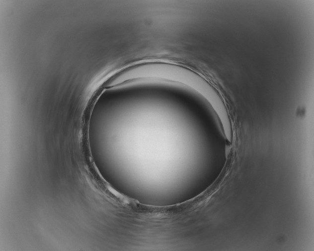 X0000111050344200907091639