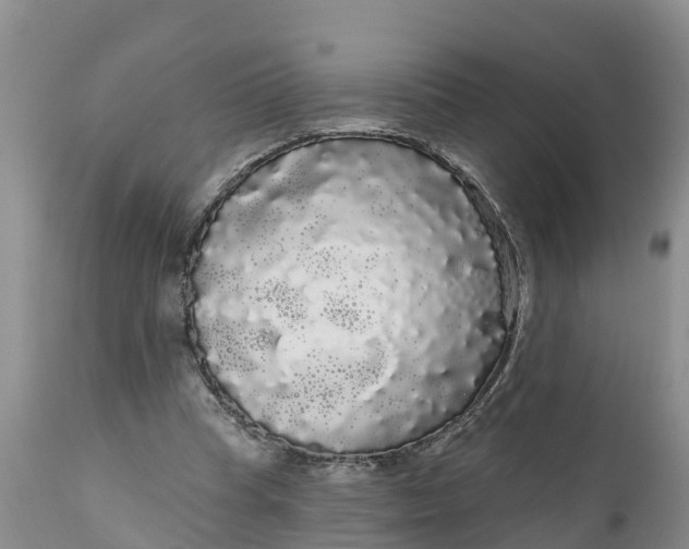 X0000111050345200907091639