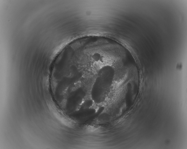 X0000111050346200907091639