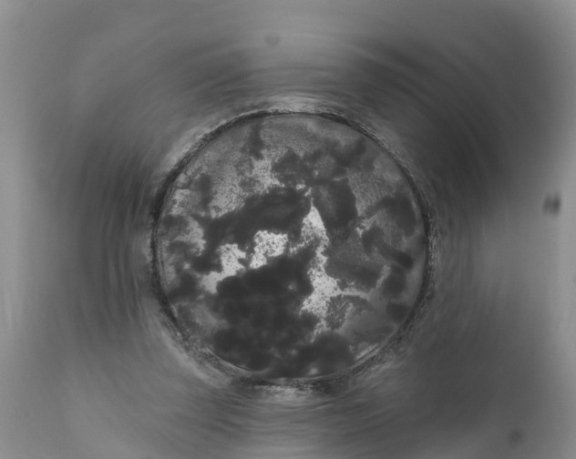 X0000111050347200907091639