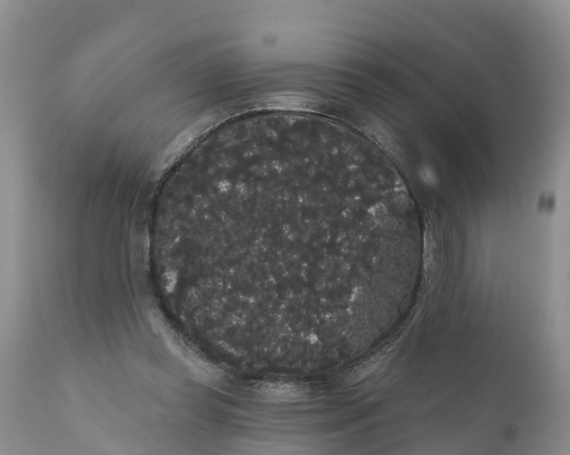 X0000111050349200907091639