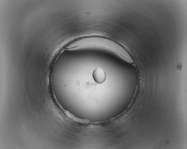 X0000111050350200907091639