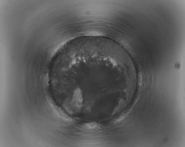 X0000111050351200907091639