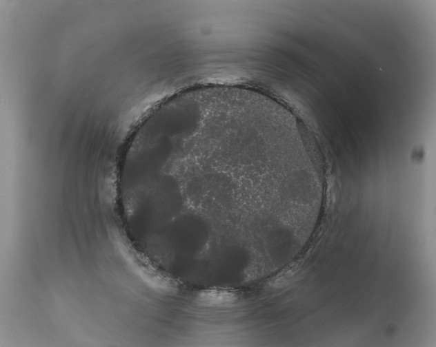 X0000111050354200907091639