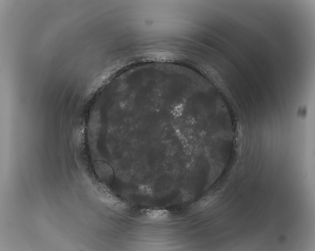 X0000111050355200907091639