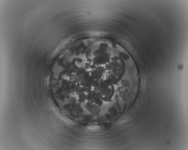 X0000111050357200907091639