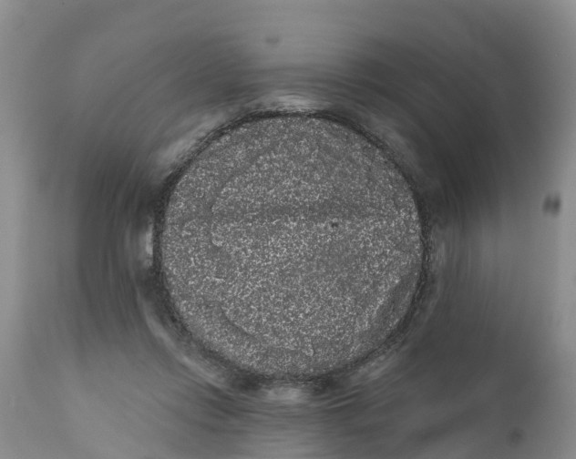 X0000111050358200907091639