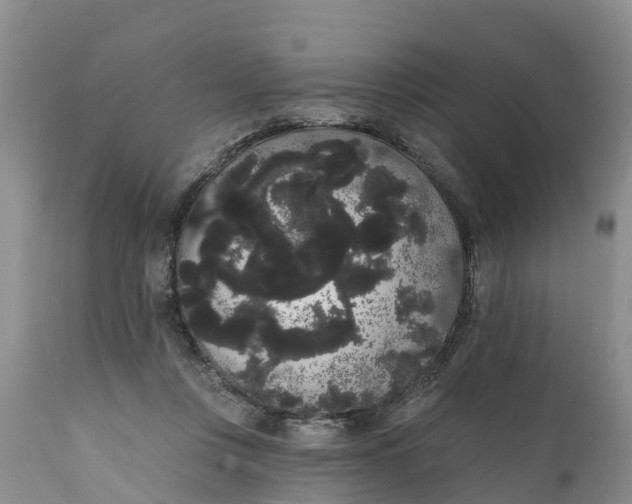 X0000111050359200907091639