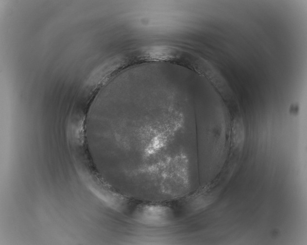 X0000111050360200907091639