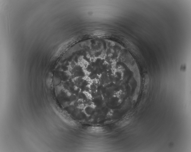 X0000111050361200907091639