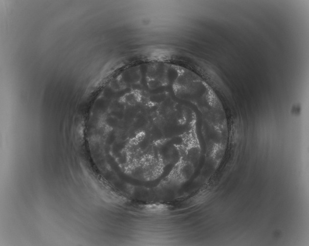 X0000111050363200907091639