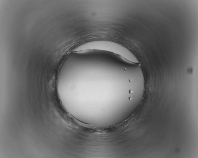 X0000111050364200907091639